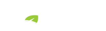 Organa International